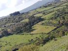Italien Sardinien Weinberg Land 3 Ha Existenz Baugenehmigung