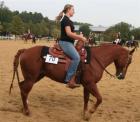 Toller QH-Wallach ready to show