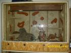 Holzterrarium