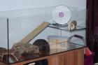 Naggerterrarium 1 00m x 0 4m plus Etage 0 24m x 0 4m