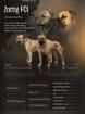Ca de Bou Perro de Presa Mallorquin Mallorca-Dogge