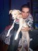 Spanischer Windhundmischlingsweibchen 9 Monate alt