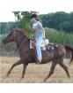Suche Reitbeteiligung