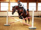 Erfahrener Reiter sucht RB im Raum ES/GP