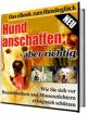 Hund anschaffen - aber richtig