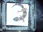 Leopardgeckos NZ 2022 suchen ein neues zuhause