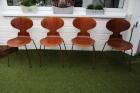 4 Vintage Stühle Arne Jacobsen Fritz Hansen Die Ameise 3101 aus den 50ern