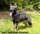 Granate für Sport oder Dienst .