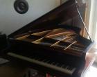 Bechstein Flügel von 1905