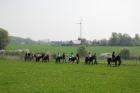 Reiterferien/Ponyferien für Kinder ab 6 Jahren in NRW Bielefeld Spenge