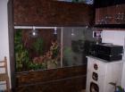 Terrarium 150x150x50