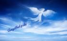 Angehelp sucht spirituele Berater/innen ab 20. 01. 2022