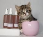 Übler Geruch im Katzenklo Baron s Katzenwc-Fresh Clean Spray-Deo m. Katzenmi